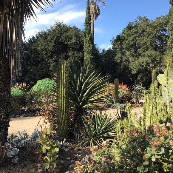 Meet your Posher, Jennifer - Picture 1 of 6